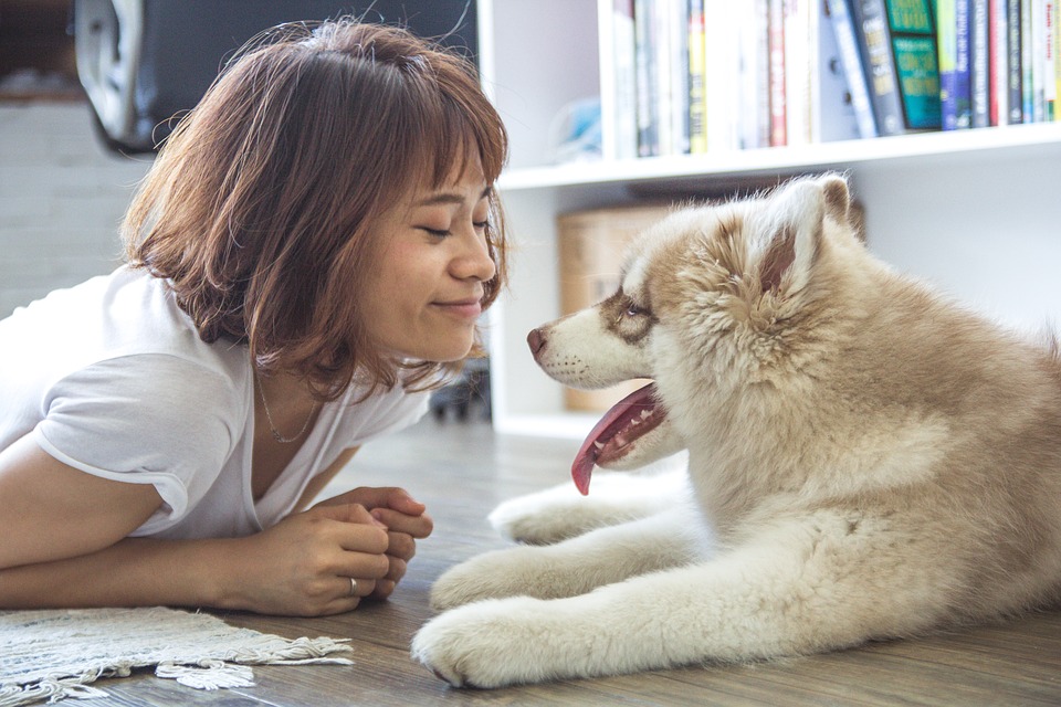 Comment créer un lien fort avec son chien ? Mode d’emploi !