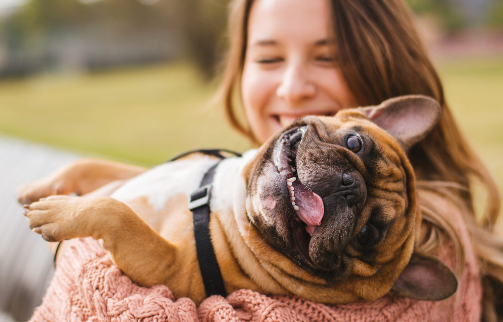 Comment garder votre chien heureux et en bonne santé