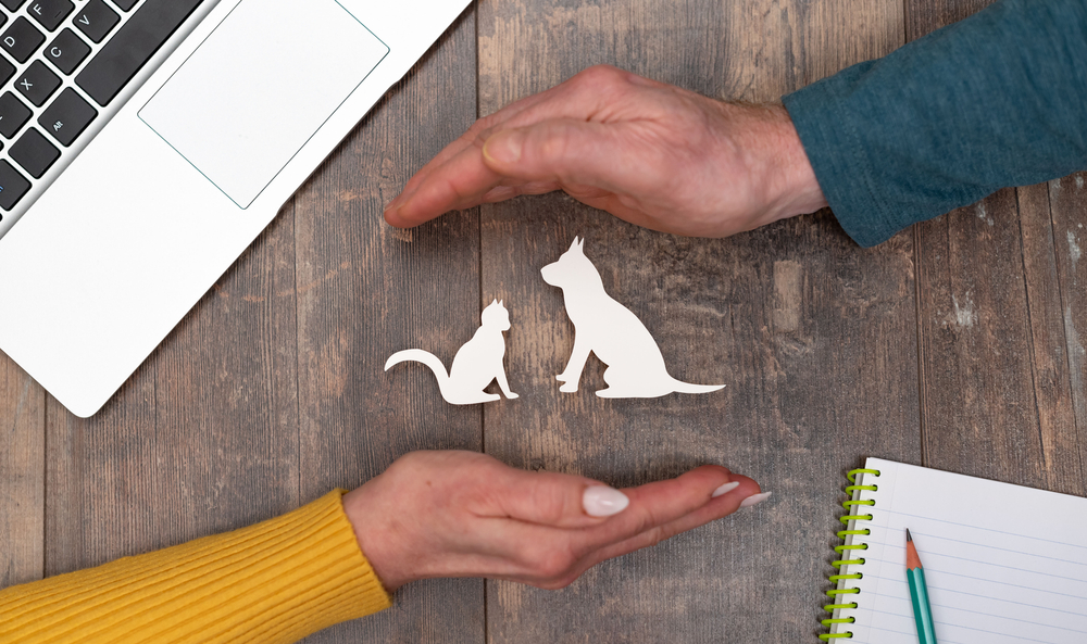 Comment fonctionne une assurance pour animaux de compagnie ?